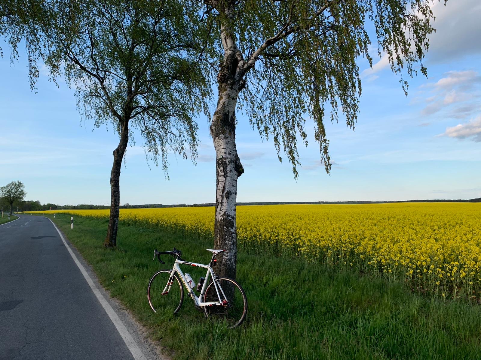 Fahrradcodierung HGW